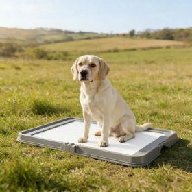 Holder Foldable Dog Litter Box (Option: defaulttitle)