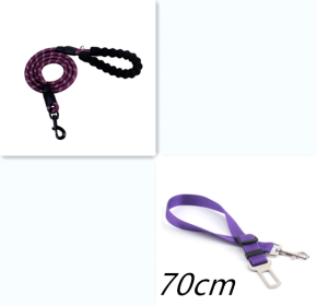 Reflective Dog Leash Nylon Pet Dog Leash Rope For Small Medium Large Dogs Walking Training Pet Suppiles (Color: Purple set)