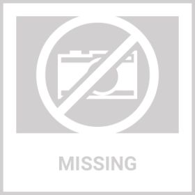 3000 FT Dog Training US Collar Rechargeable Remote Shock PET Waterproof Trainer (size: For3Dogs)